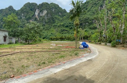  ĐẤT NỀN GẦN KCN THANH SƠN – GIÁ CHỈ TỪ 3XX TRIỆU/NỀN