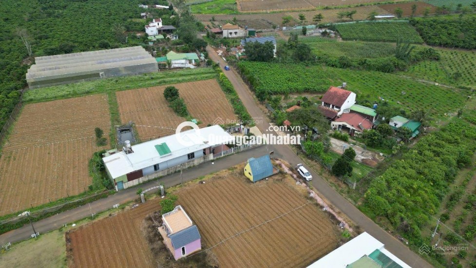 BÁN LÔ ĐẤT PHƯỜNG 2 BẢO LỘC GẦN NGÃ NĂM ĐAMBRI (NHÁNH KHÚC THỪA DỤ)