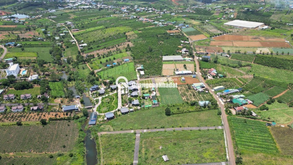 BÁN LÔ ĐẤT PHƯỜNG 2 BẢO LỘC GẦN NGÃ NĂM ĐAMBRI (NHÁNH KHÚC THỪA DỤ)