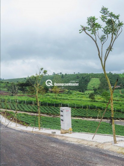  ĐẤT NỀN TRUNG TÂM BẢO LỘC – FULL THỔ CƯ, HẠ TẦNG ĐIỆN ÂM – VỊ TRÍ TIỀM NĂNG SINH LỜI CAO 