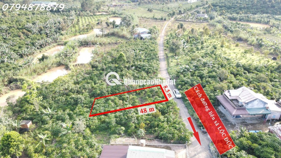 CẦN BÁN ĐẤT LỘC ĐỨC – BẢO LỘC, LÂM ĐỒNG