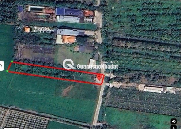 Chính chủ bán đất 1030m2 giá 7,2 tỷ, tp. Tân An, Long An
