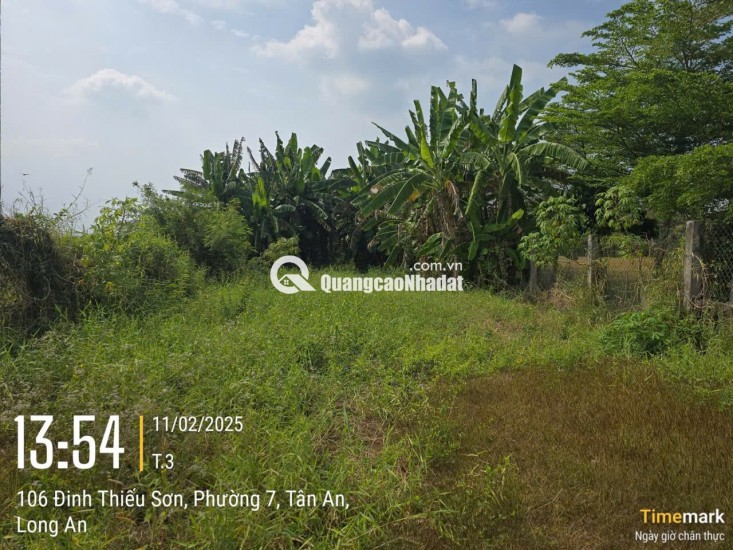 Chính chủ bán đất 1030m2 giá 7,2 tỷ, tp. Tân An, Long An