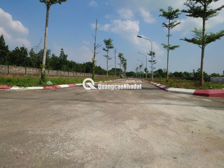 Chính chủ bán đất tại La gián, Cổ đông, sơn tây 100m2 MT 5.50m giá FO cho nhà đầu tư.