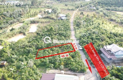 CẦN BÁN ĐẤT LỘC ĐỨC – BẢO LỘC, LÂM ĐỒNG