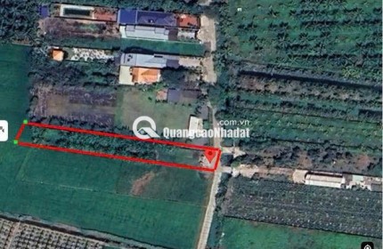 Chính chủ bán đất 1030m2 giá 7,2 tỷ, tp. Tân An, Long An