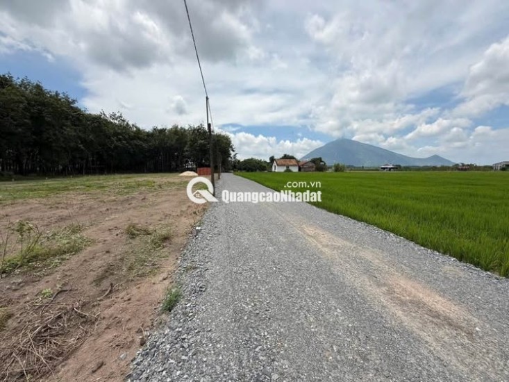 Đón Đầu Sóng Hạ Tầng – Đầu Tư Dự Án Dương Minh Châu, Tây Ninh