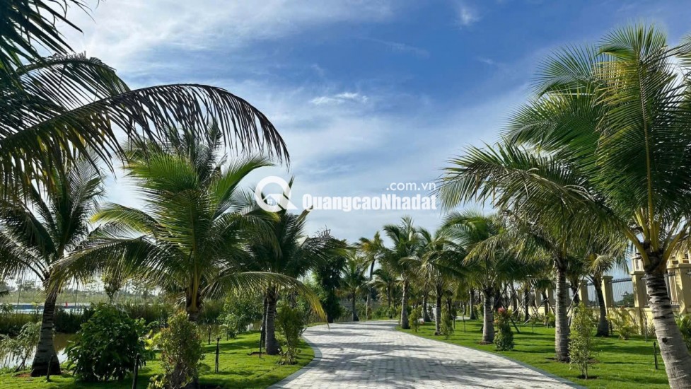 Giữ chỗ khu Mai Vàng Shophouse - Nhà Phố Agora City 6x18, ngay TT Hành Chính hiện hữu: 0938230002