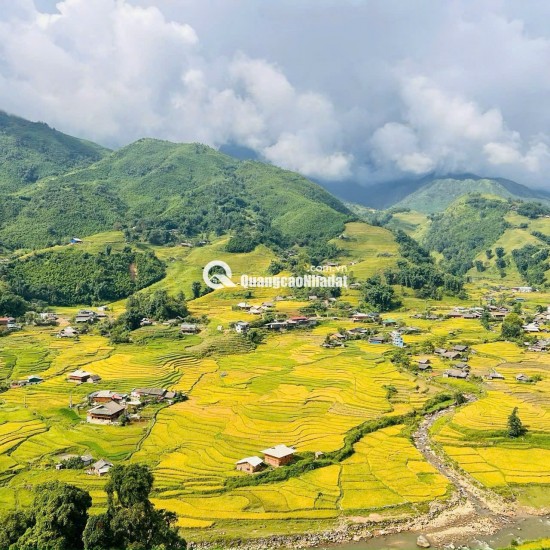 BÁN MẢNH ĐẤT VIEW THUNG LŨNG MƯỜNG HOA - SAPA - TỈNH LÀO CAI 9.9 TỶ