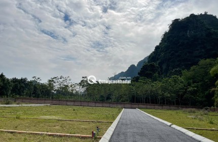 BÙNG NỔ CƠ HỘI VÀNG – SỞ HỮU NGAY QUỸ ĐẤT HIẾM CAO DƯƠNG PHÚ THỌ – GIÁ CHỈ 3XX TRIỆU/LÔ