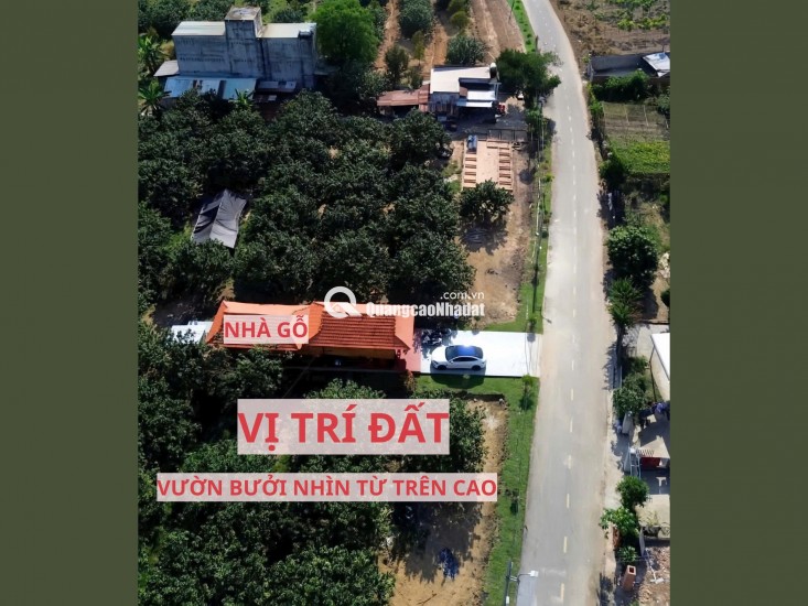 ĐẤT VƯỜN BƯỞI BÌNH DƯƠNG 263M² – CÓ THỔ CƯ, GIÁ 950TR