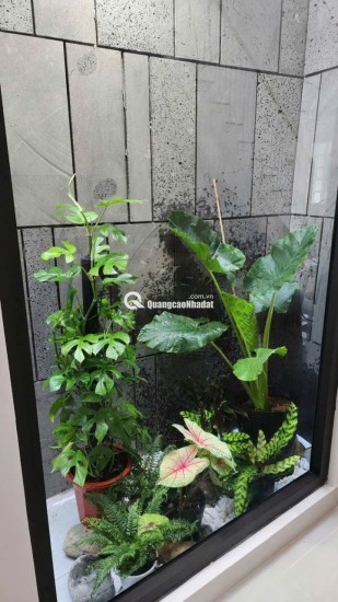 Bán nhà nát tặng GPXD HXH Quang Trung thông thương ngang 4m 56m2 tiện xây siêu phẩm chỉ 5.6 tỷ.