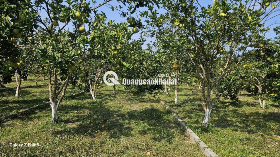 BÁN ĐẤT Trung Tâm Xã Bảo Hiệu – Huyện Yên Thủy – TỈNH Hòa Bình