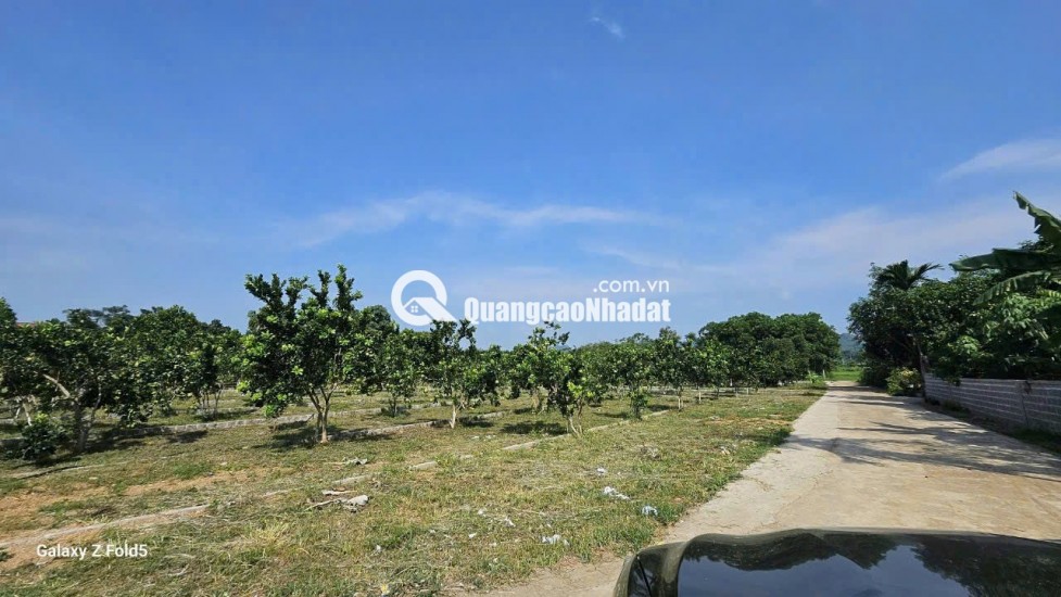 BÁN ĐẤT Trung Tâm Xã Bảo Hiệu – Huyện Yên Thủy – TỈNH Hòa Bình