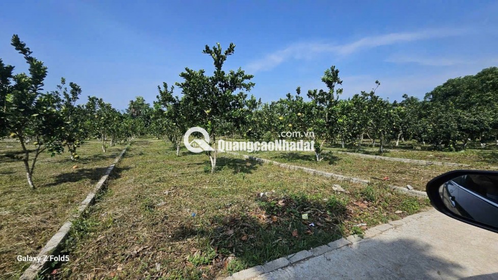 BÁN ĐẤT Trung Tâm Xã Bảo Hiệu – Huyện Yên Thủy – TỈNH Hòa Bình