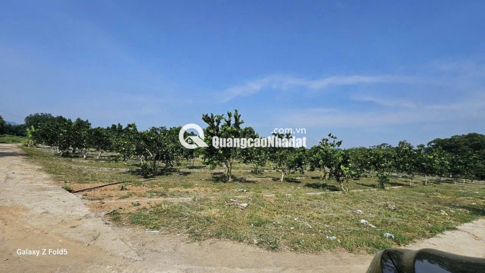 BÁN ĐẤT Trung Tâm Xã Bảo Hiệu – Huyện Yên Thủy – TỈNH Hòa Bình