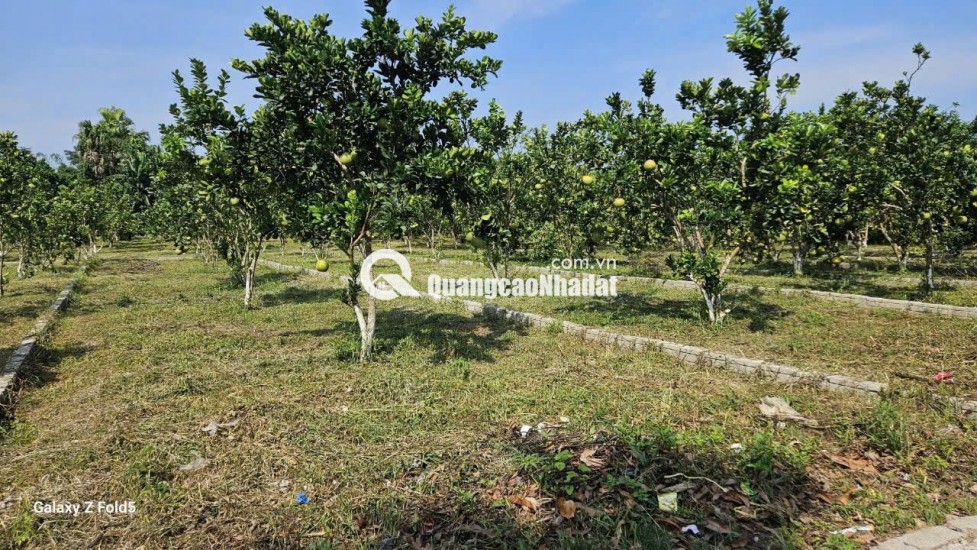 BÁN ĐẤT Trung Tâm Xã Bảo Hiệu – Huyện Yên Thủy – TỈNH Hòa Bình