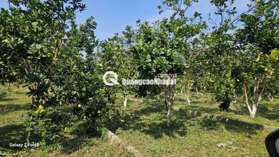 BÁN ĐẤT Trung Tâm Xã Bảo Hiệu – Huyện Yên Thủy – TỈNH Hòa Bình