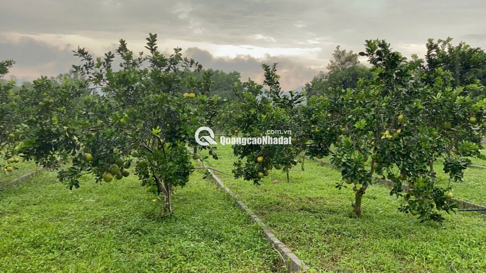 BÁN ĐẤT Trung Tâm Xã Bảo Hiệu – Huyện Yên Thủy – TỈNH Hòa Bình