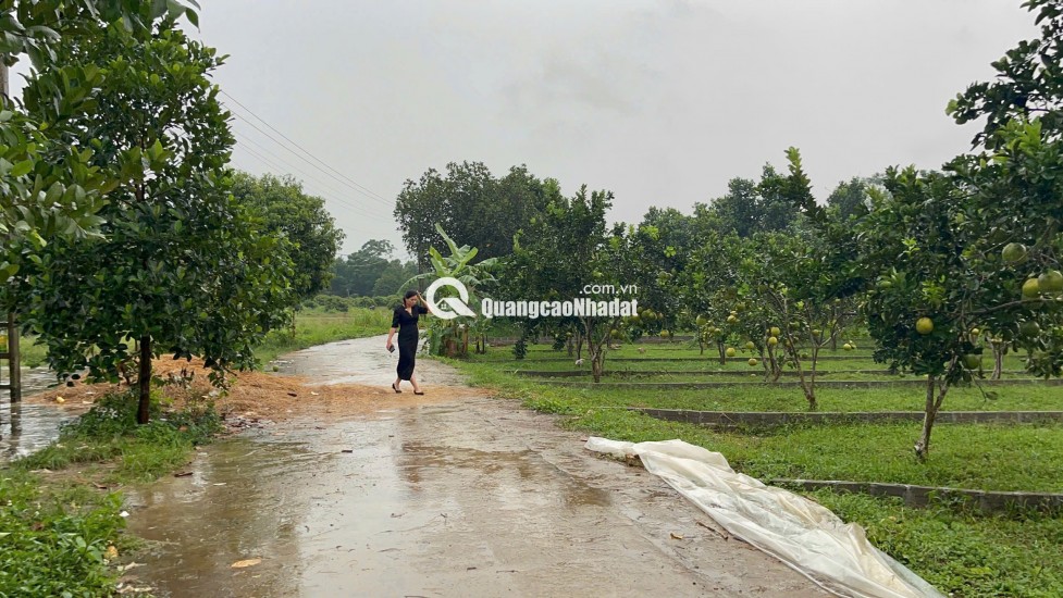  ĐẤT TRUNG TÂM XÃ BẢO HIỆU – CƠ HỘI SỞ HỮU GIÁ MỀM, PHÁP LÝ SẠCH