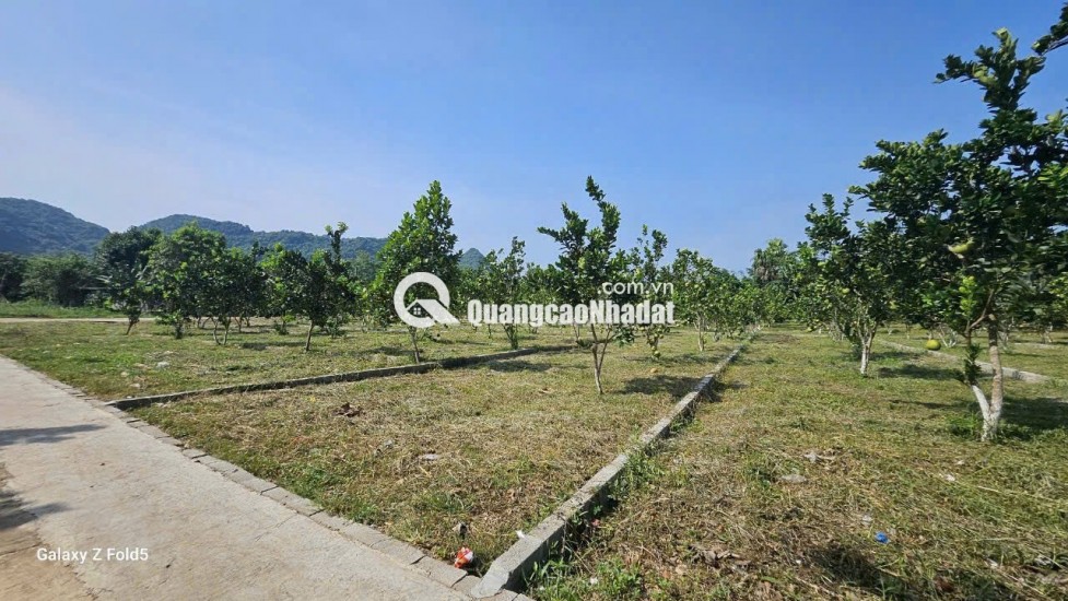  ĐẤT TRUNG TÂM XÃ BẢO HIỆU – CƠ HỘI SỞ HỮU GIÁ MỀM, PHÁP LÝ SẠCH