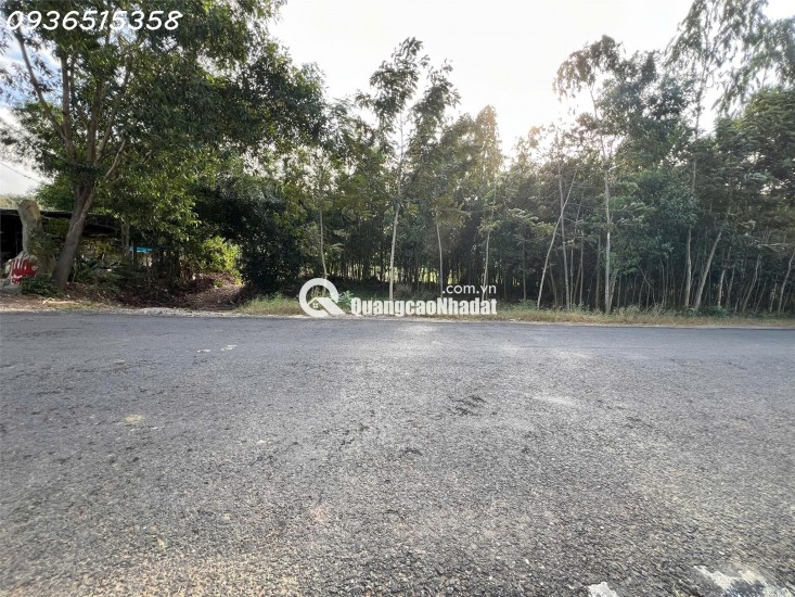 SIÊU PHẨM ĐẤT 3 MẶT TIỀN – “KẸP VÀNG” HIẾM CÓ TẠI NINH XUÂN