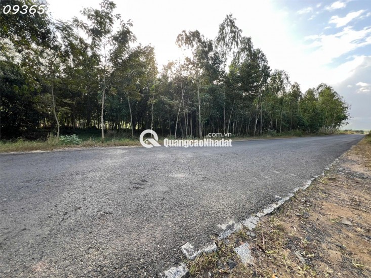 SIÊU PHẨM ĐẤT 3 MẶT TIỀN – “KẸP VÀNG” HIẾM CÓ TẠI NINH XUÂN