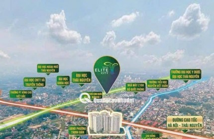 Bán quỹ căn ngoại giao giá tốt nhất tòa A1 Tecco Elite, Vốn ban đầu chỉ 500tr, HTLS 0%/18Th