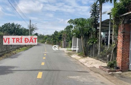 Bán đất mặt tiền đường nhựa có sẵn vườn bưởi tại Trừ Văn Thố Bàu Bàng Bình Dương