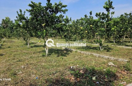  ĐẤT TRUNG TÂM XÃ BẢO HIỆU – CƠ HỘI SỞ HỮU GIÁ MỀM, PHÁP LÝ SẠCH