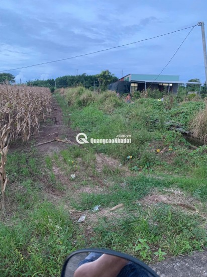 BÁN 4761m2 ĐẤT XÃ LÁNG DÀI, NGAY CHỢ LÁNG DÀI, HUYỆN ĐẤT ĐỎ BÀ RỊA (NAY LÀ XÃ ĐẤT ĐỎ - HCM)