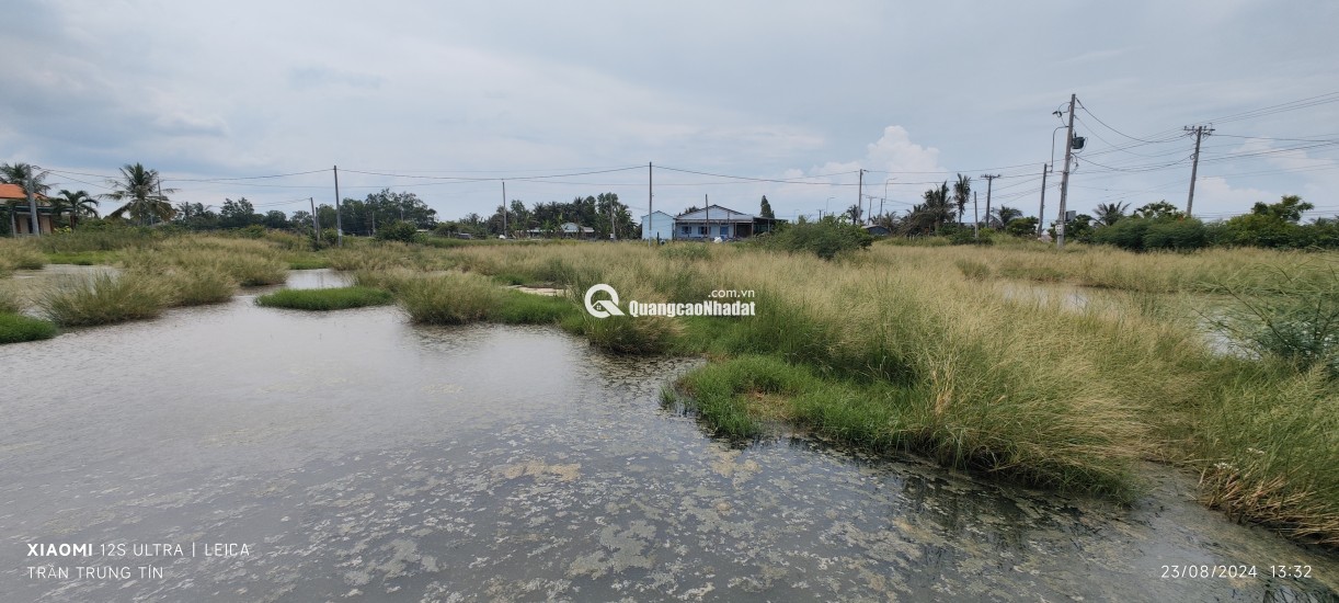 Bán gấp lô lúa xã Nhựt Ninh giá 550 triệu