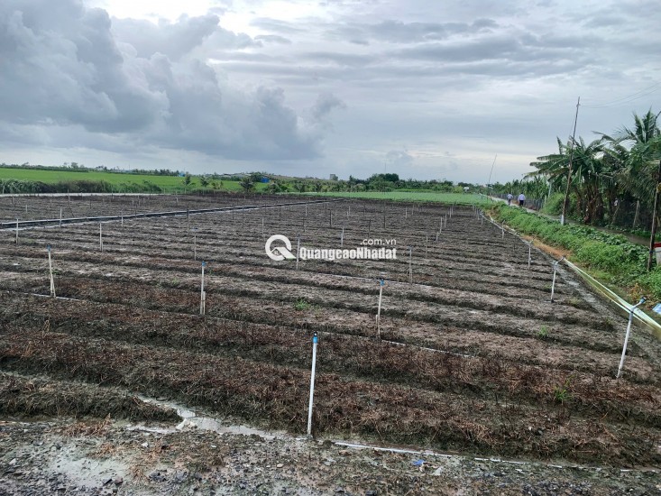 Bán gấp đất nền thổ cư Bà Lẫy Sổ sẵn công chứng ngay