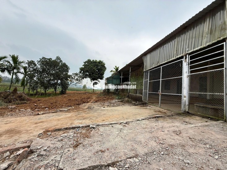 Đất Thanh Thuỷ, Phú Thọ có sẵn nhà cấp 4 chỉ việc ở