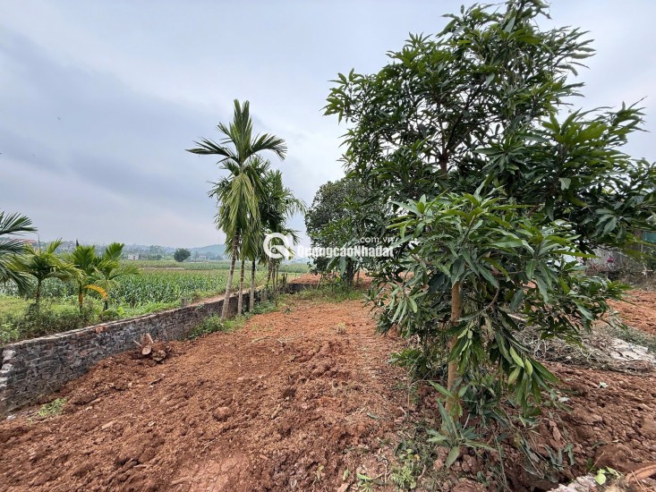 Đất Thanh Thuỷ, Phú Thọ có sẵn nhà cấp 4 chỉ việc ở