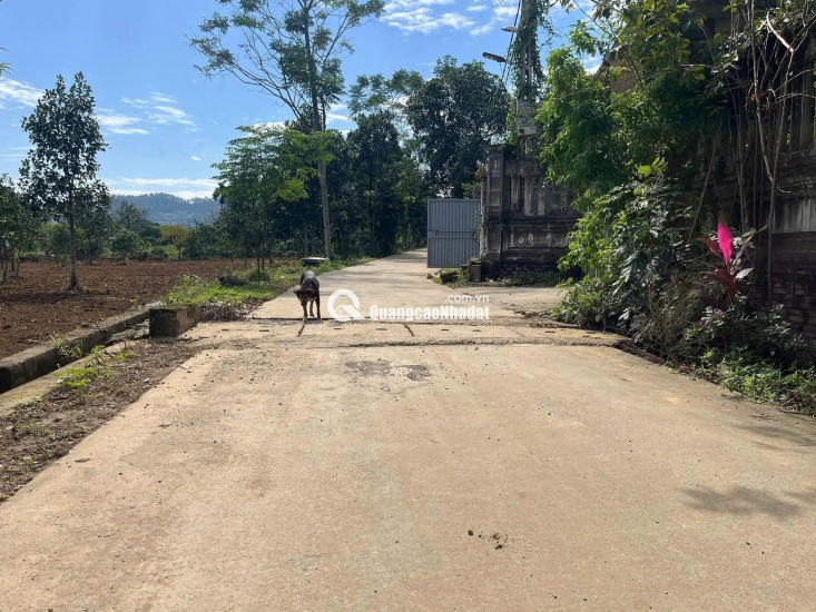 Đất nghỉ dưỡng tài chính nhỏ nhất Vân Hòa( Yên Bài ), Hà Nội.