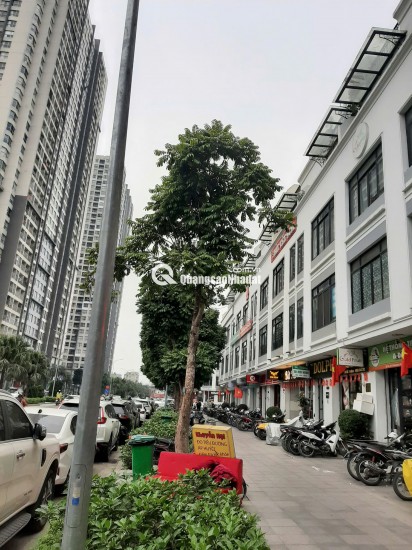 Bán nhà mặt phố Hàm Nghi Vinhome Gardenia