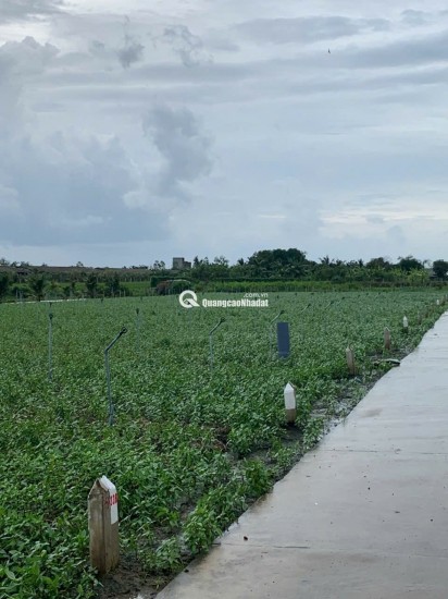 Bán gấp đất nền thổ cư Bà Lẫy Sổ sẵn công chứng ngay