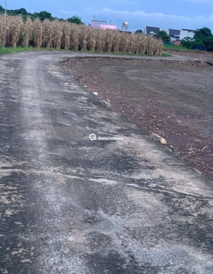 BÁN 4761m2 ĐẤT XÃ LÁNG DÀI, NGAY CHỢ LÁNG DÀI, HUYỆN ĐẤT ĐỎ BÀ RỊA (NAY LÀ XÃ ĐẤT ĐỎ - HCM)