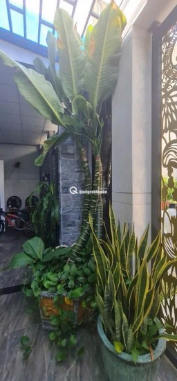 Nhà đẹp xây kiên cố 5 tầng – 4PN 5WC – Hẻm ô tô nhỏ – Dọn vào ở ngay – Vị trí gần Tân Kỳ Tân Quý – Giá tốt 8 tỷ