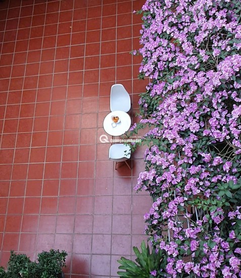 CHÍNH CHỦ CHO THUÊ CĂN HỘ ~50m² – TRẦN CUNG, Cổ Nhuế 1 (cũ), Hà Nội