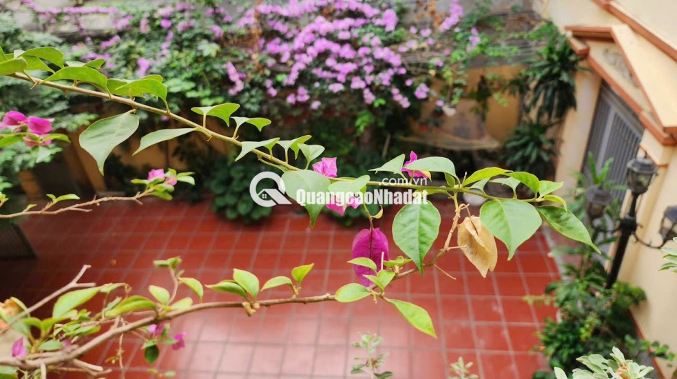 CHÍNH CHỦ CHO THUÊ CĂN HỘ ~50m² – TRẦN CUNG, Cổ Nhuế 1 (cũ), Hà Nội