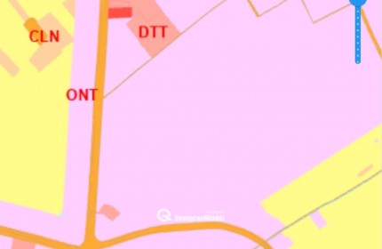 Bán gấp lô lúa xã Nhựt Ninh giá 550 triệu