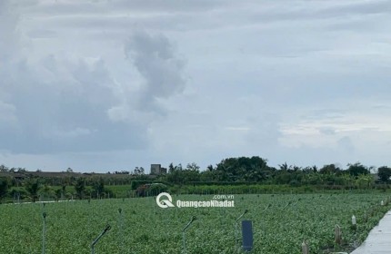 Bán gấp đất nền thổ cư Bà Lẫy Sổ sẵn công chứng ngay