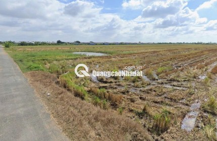 840tr đất mặt tiền đường nhựa 3m tại Bình Ân