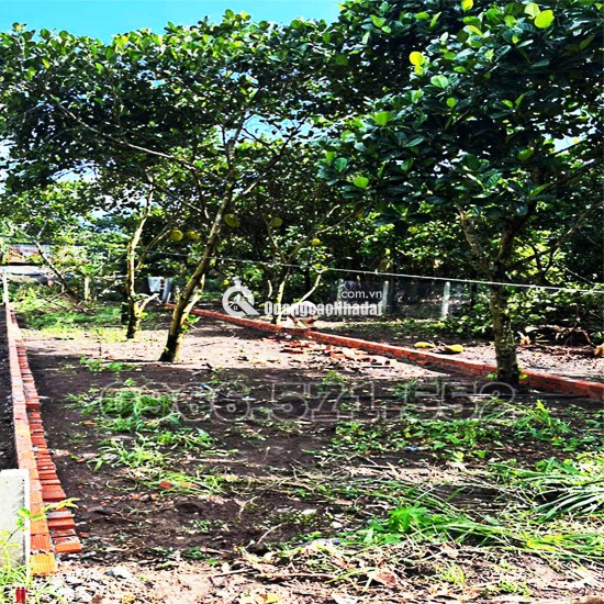 210m² THỔ CƯ, NGAY CHỢ HÀM NGHI – TP LONG KHÁNH – ĐN. CƠ HỘI X2,3 TÀI SẢN.