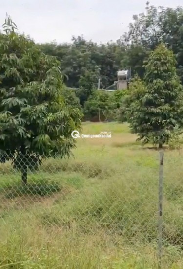 BÁN VƯỜN MÍT TẠI ĐỒNG NAI MỚI DT 5.891M2 SHR CHỈ 50TR/1000M2. LH:0869560747