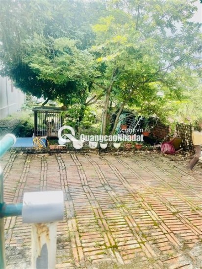 ĐẤT SÓC SƠN - CÁCH ĐƯỜNG VÕ NGUYÊN GIÁP KÉO DÀI 50M - CHỈ VÀI TRĂM M RA SÂN BAY