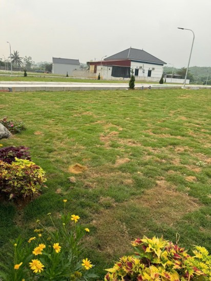 Hơn 300tr- Sở Hữu Luôn Lô Đất Full Thổ Cư Ngay Trung Tâm Ba hàng Đồi- Săn Sổ5b