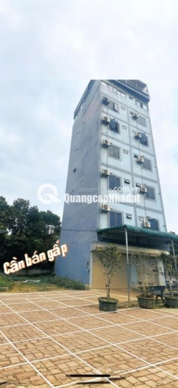 Bán đất chính chủ tại Xã Cổ Đông, Sơn Tây, Hà Nội, 30 triệu/m2, S= 100 m2 full thổ cư